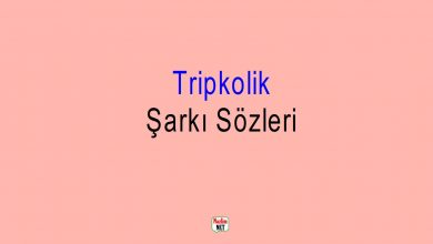 Tripkolik Şarkı Sözleri