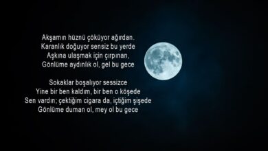 Gece şiirleri