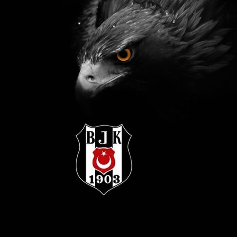 beşiktaş resimleri en güzel bjk kartal fotoğrafları